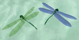 Click Picture To View More Larger, Higher Resolution Pictures of these DragonFly Avatars